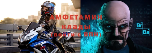 стаф Бородино