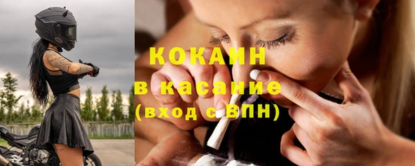индика Инта