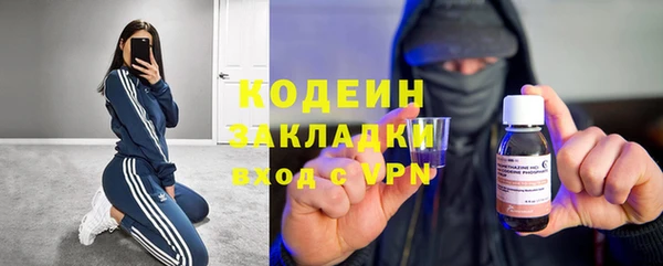 стаф Бородино