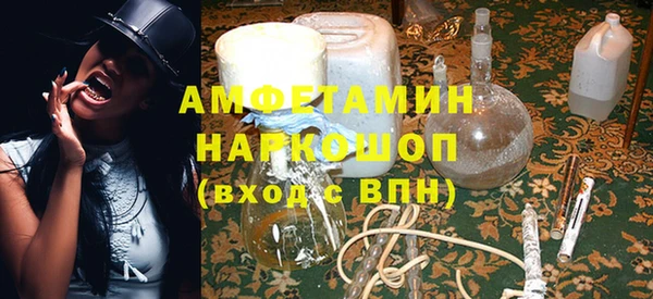 стаф Бородино