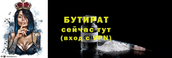 стаф Бородино
