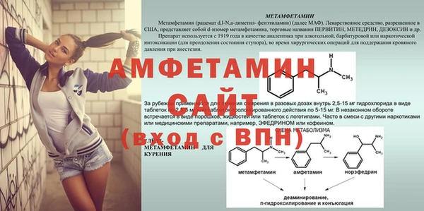 стаф Бородино